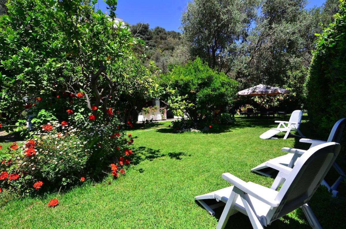 Casa Nel Ischia