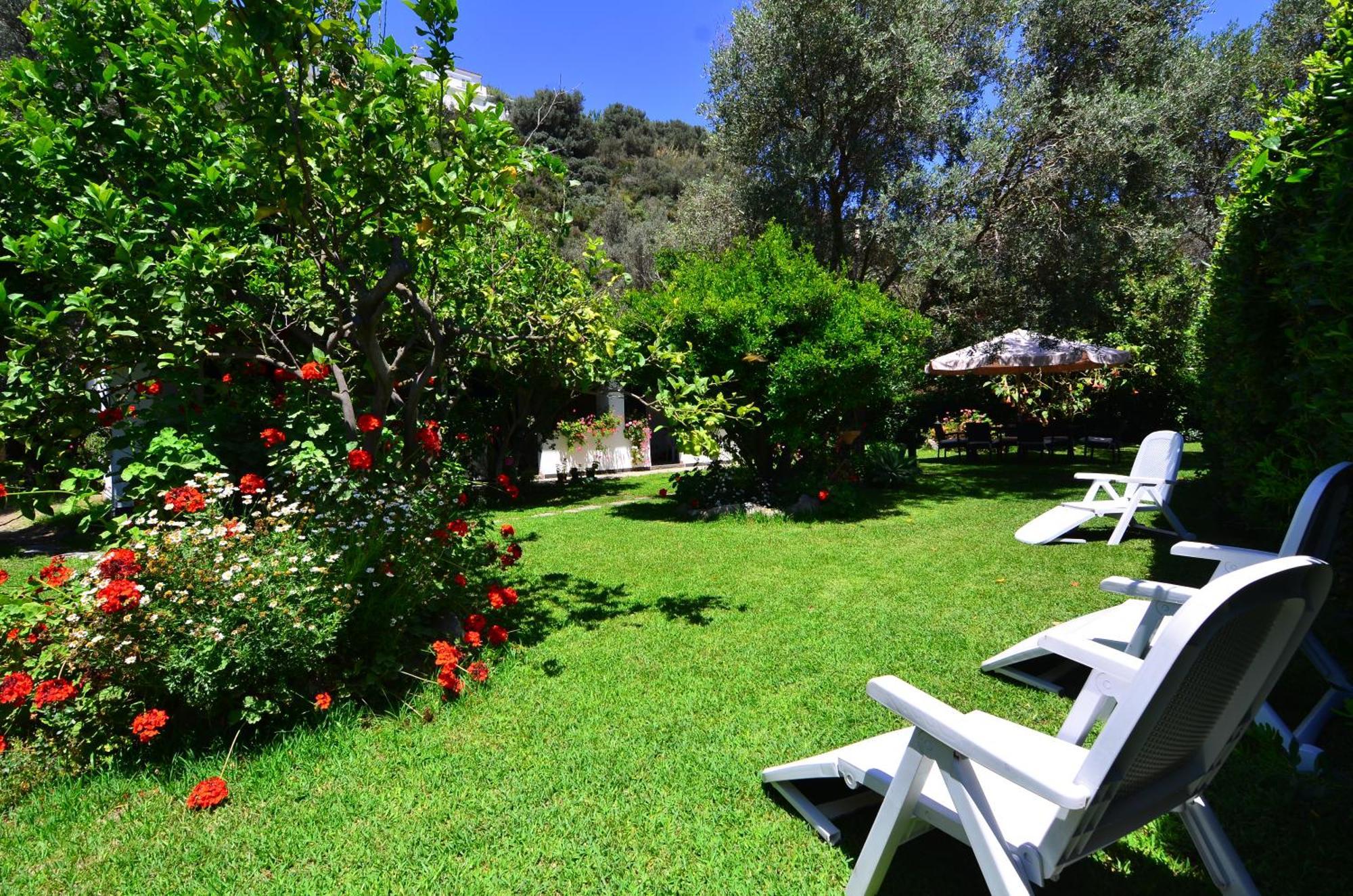 Alloggio in famiglia Casa Nel Ischia